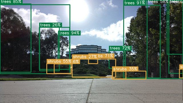 Trees and shrubs boxed with confidence scores by the onboard model