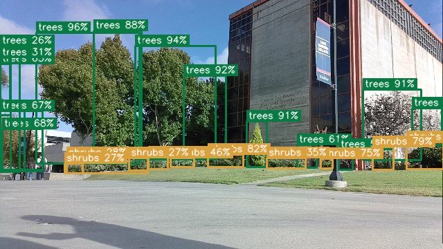 Trees and shrubs detected and boxed by the car's onboard model