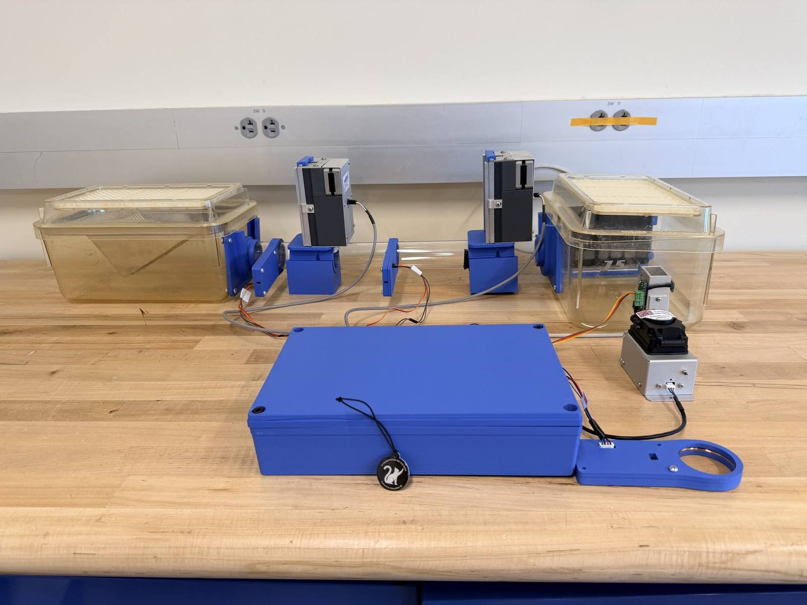 Automated mouse-training rig